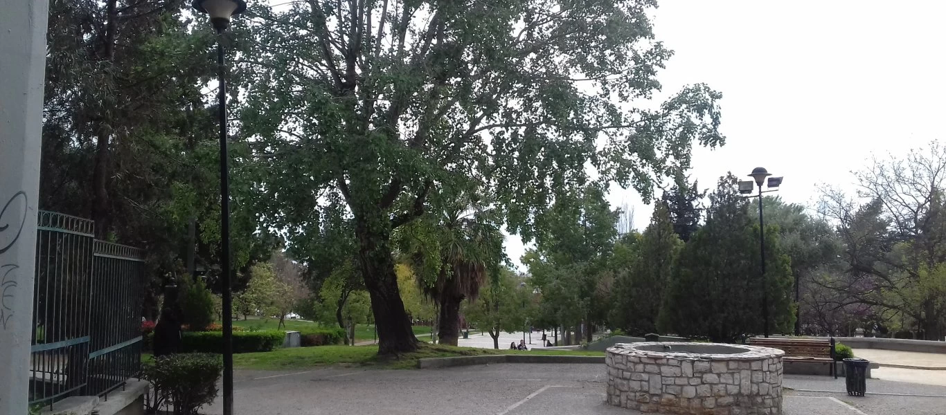 Συγκλονίζει η μητέρα του μαθητή που έπεσε θύμα ξυλοδαρμού στο Αιγάλεω - «Ήταν αιμόφυρτος, ζαλιζόταν»